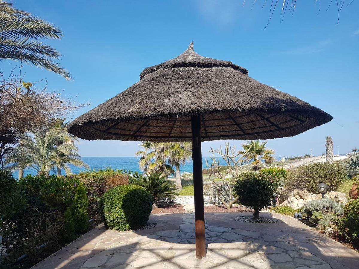 Sea Front Villa Vera Χλώρακα Εξωτερικό φωτογραφία
